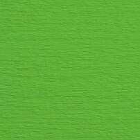 Pistachio